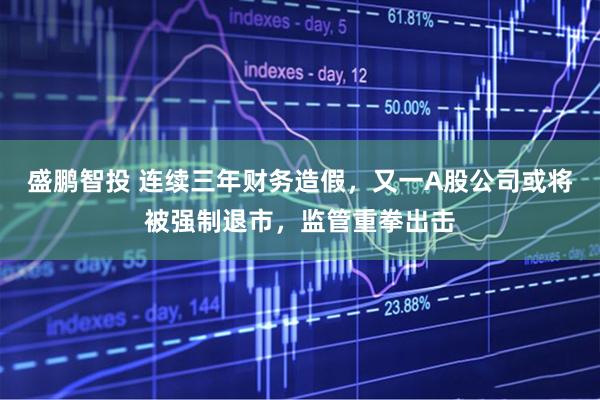 盛鹏智投 连续三年财务造假，又一A股公司或将被强制退市，监管重拳出击